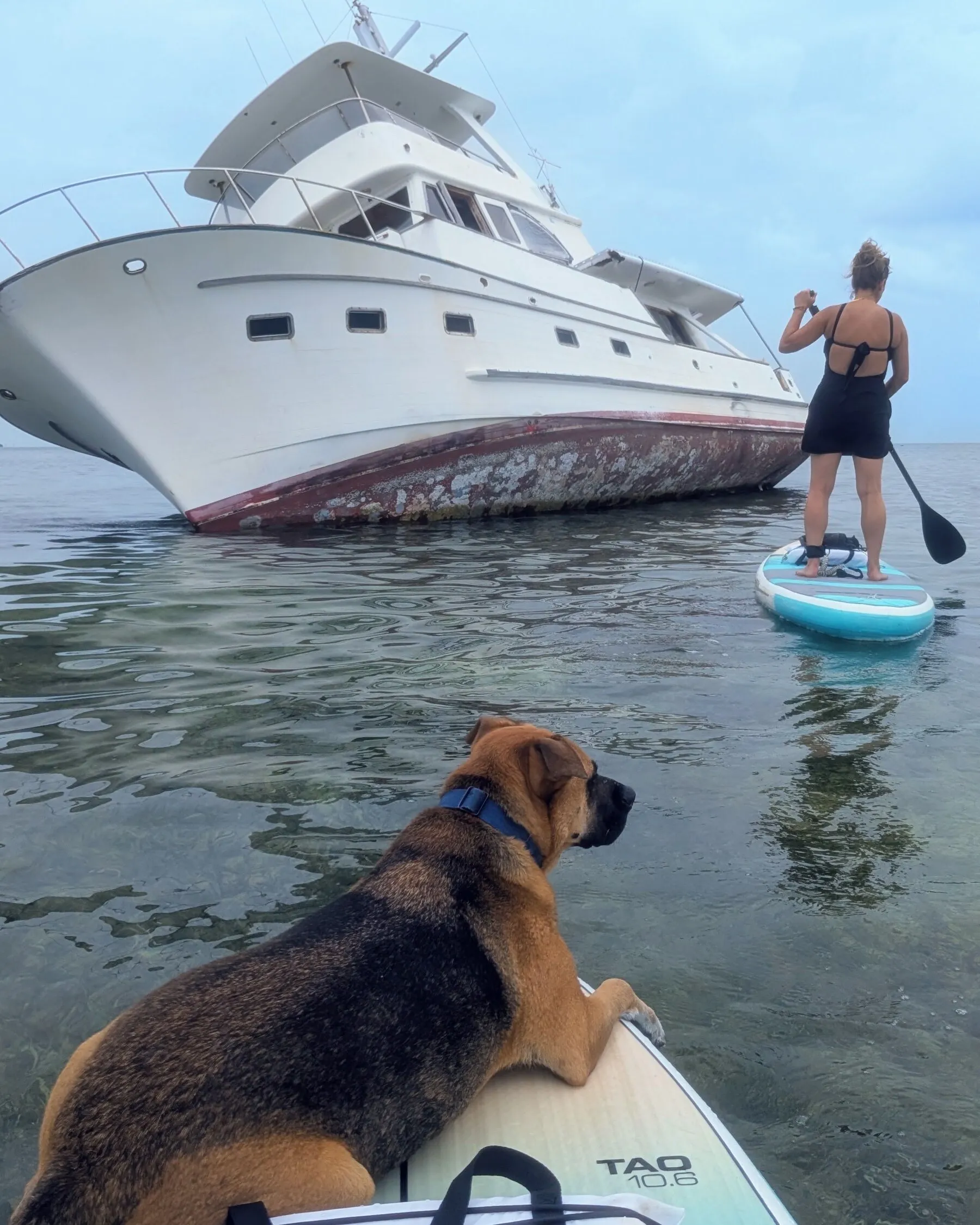 Marty lying on a paddleboard, looking at a grounded yacht leaning on its side, with another paddleboarder beside it