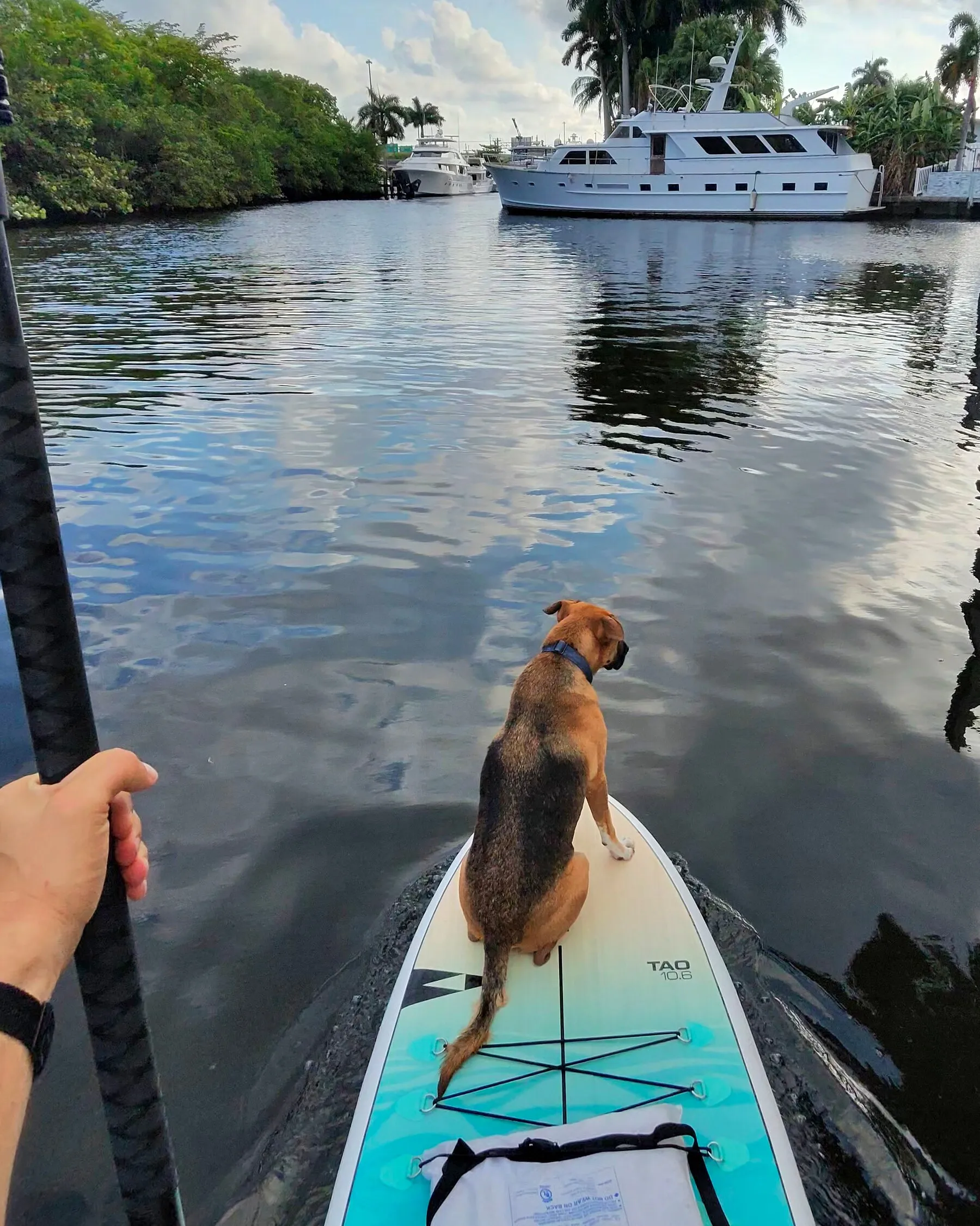 Marty sitting at the front of a paddleboard, seen from behind, looking across the water at a large white yacht